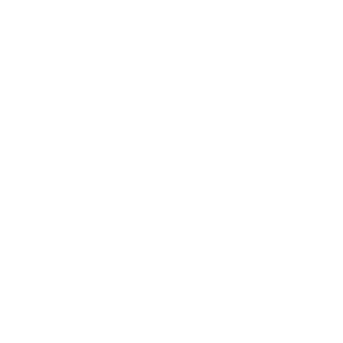 Alloy Fund